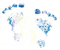Foot Print